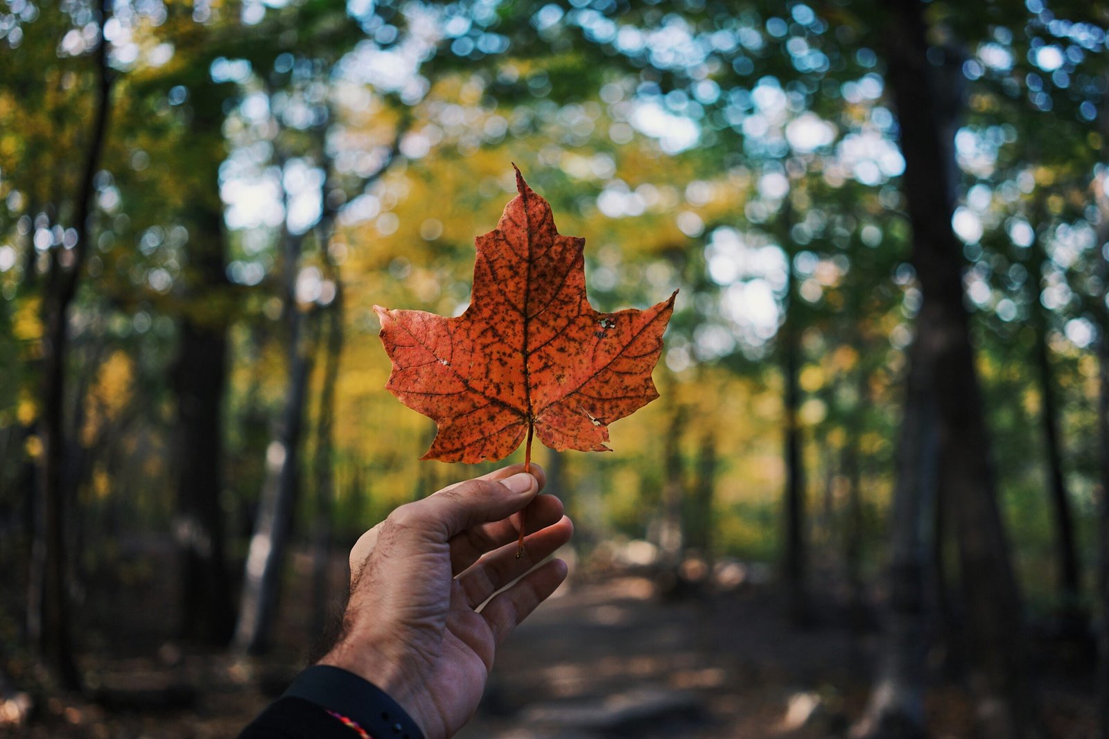 Exploring Canada Through the Lens